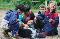 Integrationsbeauftragter